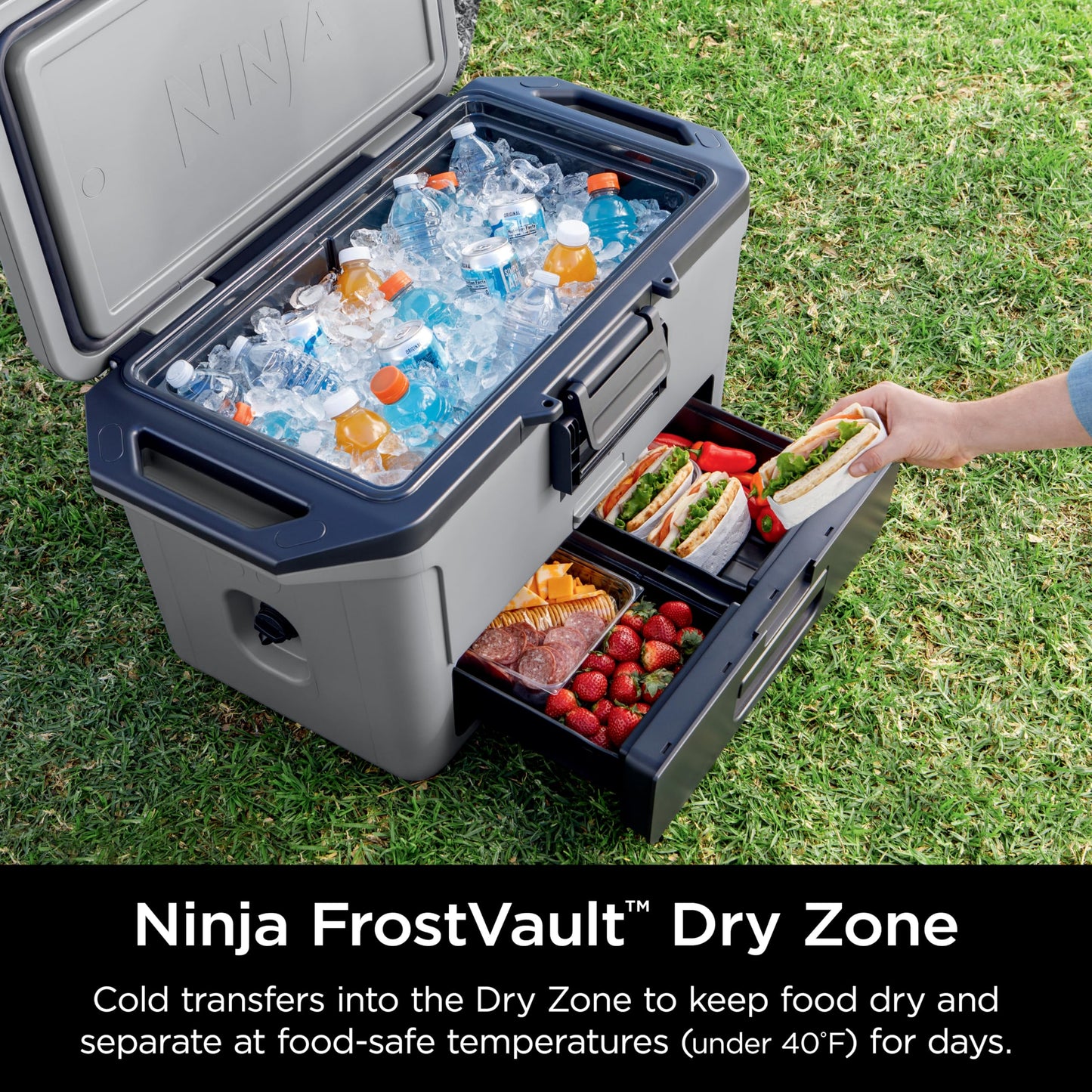 Ninja FrostVault™ 50qt Hard Cooler with Cold Dry Zone, Slate Gray