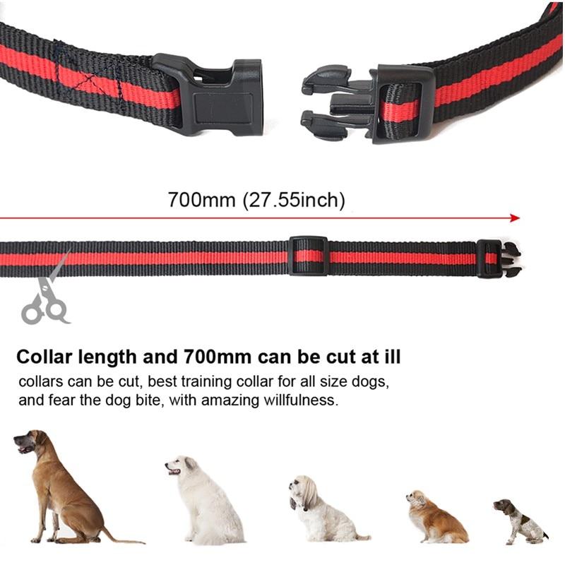 PawRoll Dog Training Collar