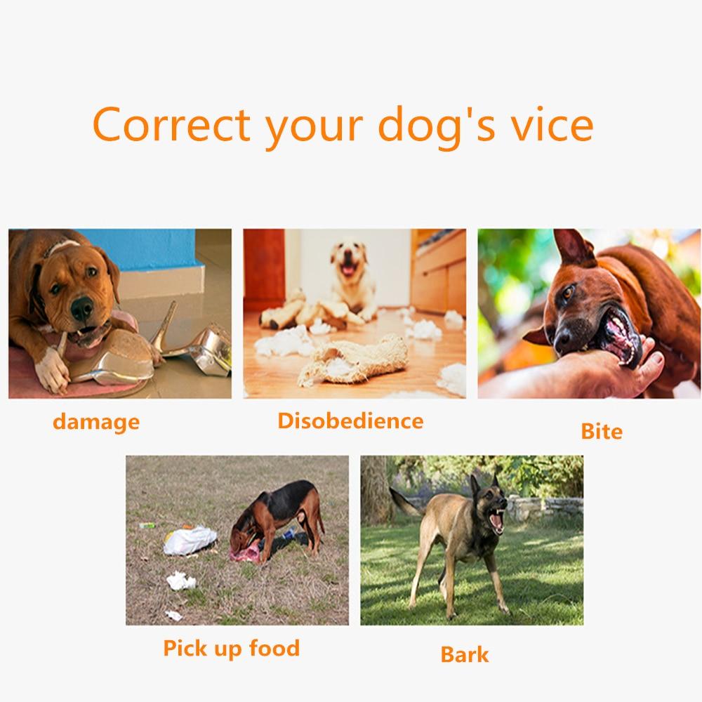 PawRoll Dog Training Collar