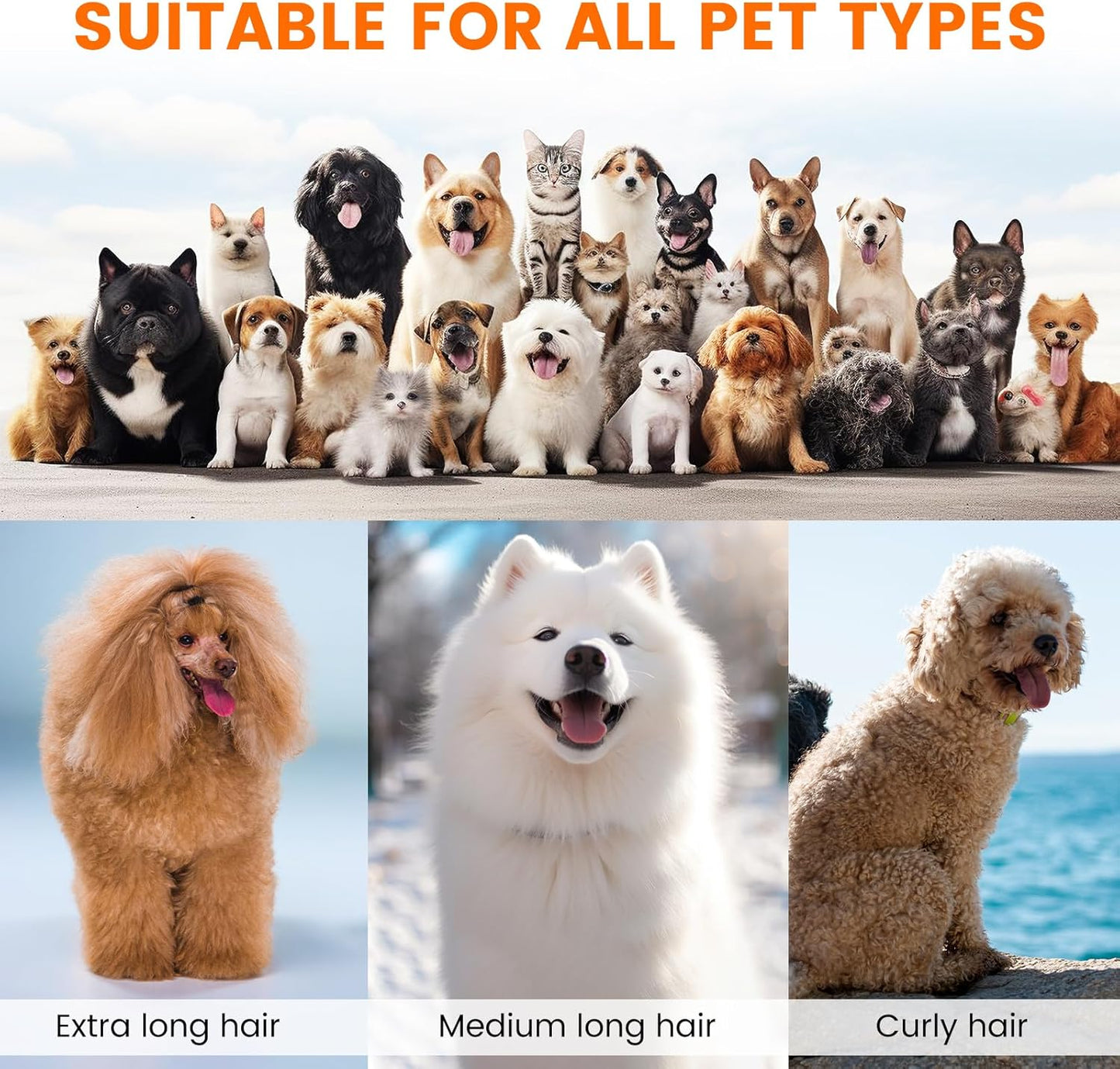 Dog Grooming Vacuum & Clippers