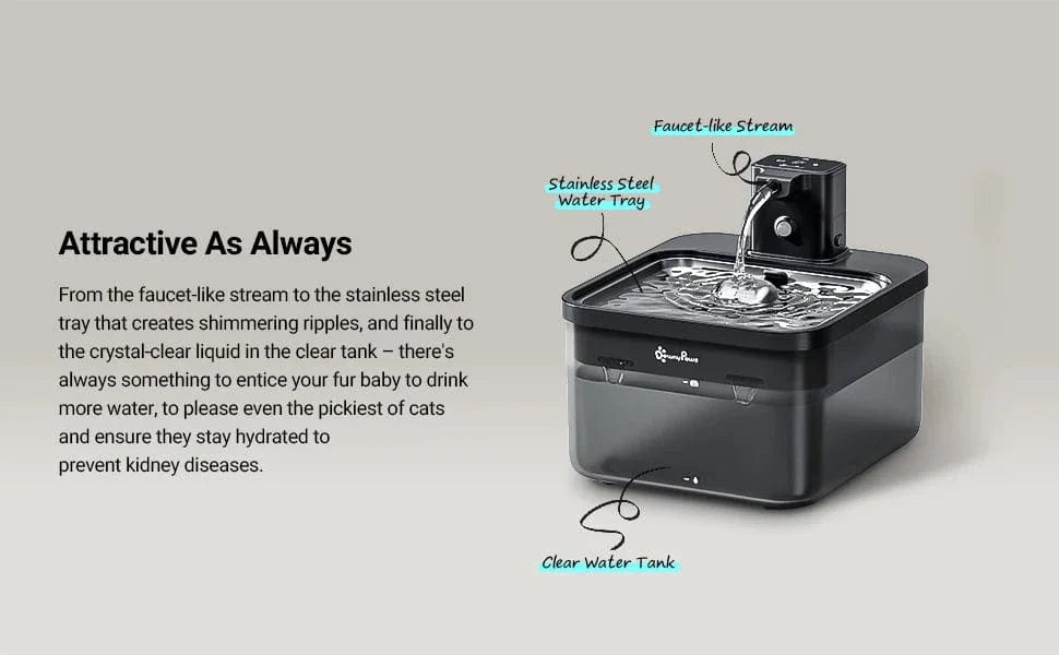 Fontaine eau automatique 2,5L inox – Distributeur sans fil